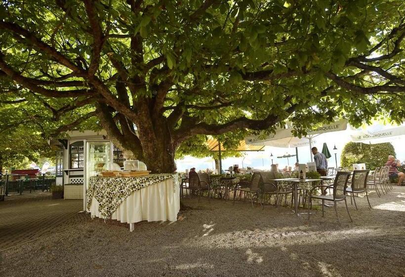 Seehotel Schlick