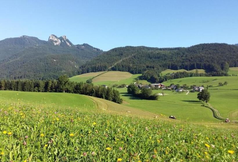 Weinbachbauer   Urlaub Am Bauernhof