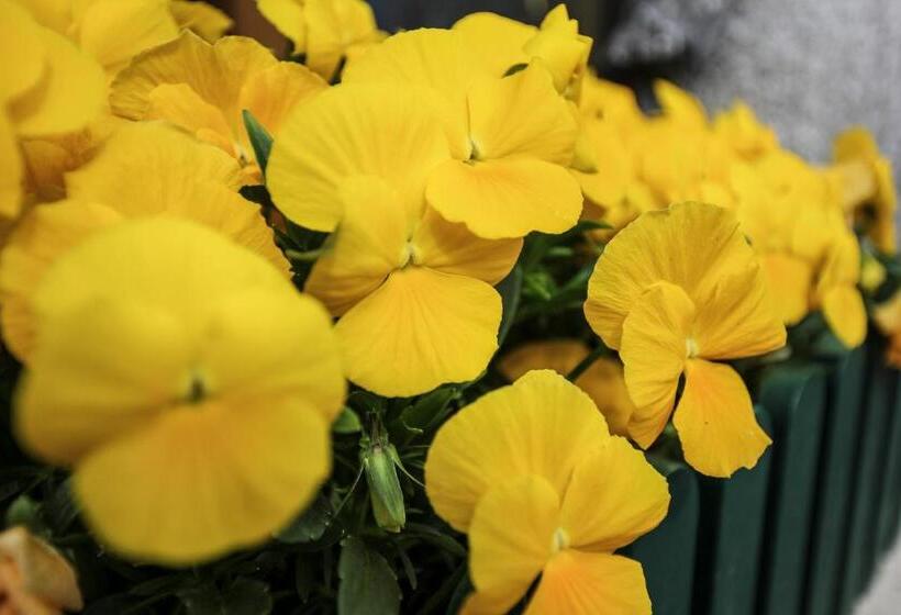 Weinbachbauer   Urlaub Am Bauernhof