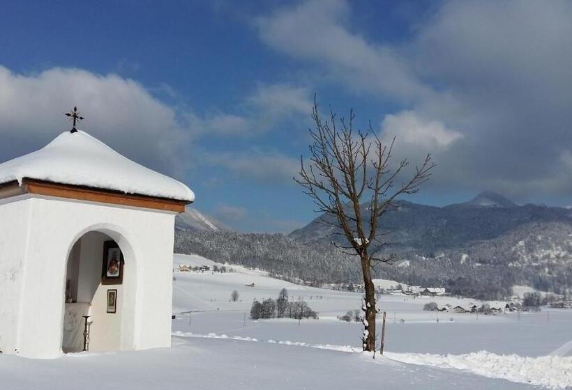 Weinbachbauer   Urlaub Am Bauernhof