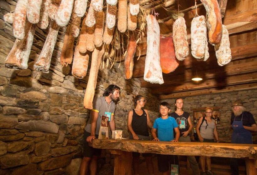 Active Hotel Gran Zebru