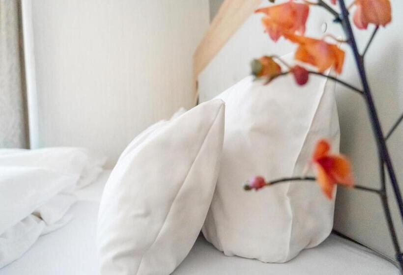 Ambient Hotel Zum Schwan