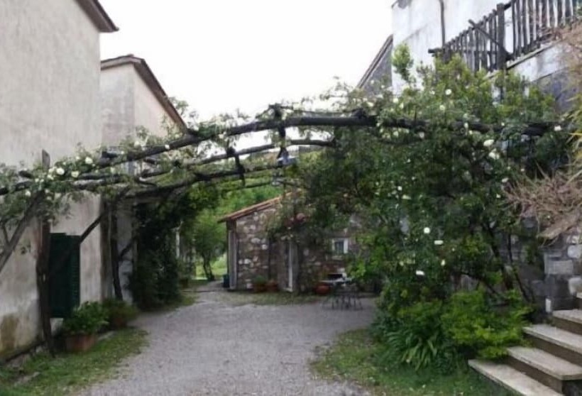 Azienda Agricola Le Tore Srl