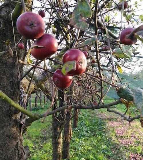 Azienda Agricola Le Tore Srl