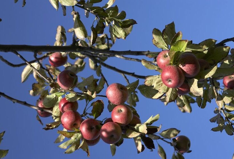 Azienda Agricola Le Tore Srl