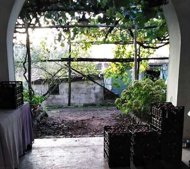 Azienda Agricola Le Tore Srl