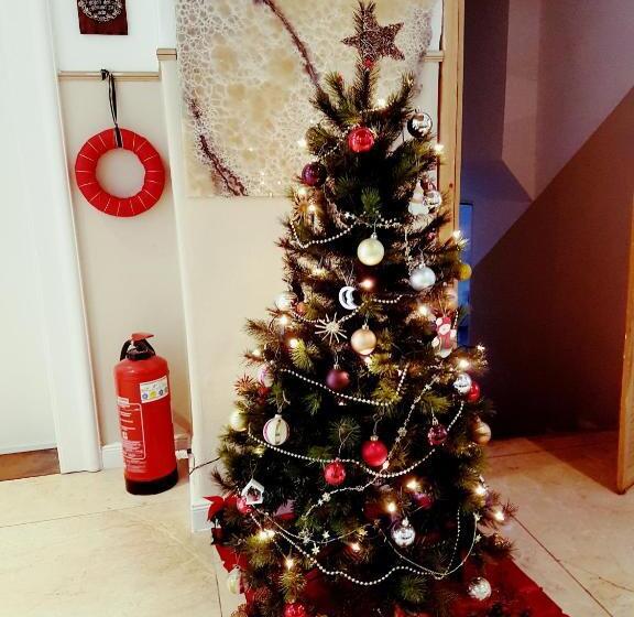 住宿加早餐  Pension Im Bett