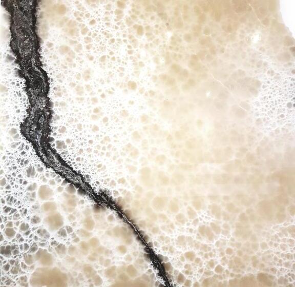 住宿加早餐  Pension Im Bett