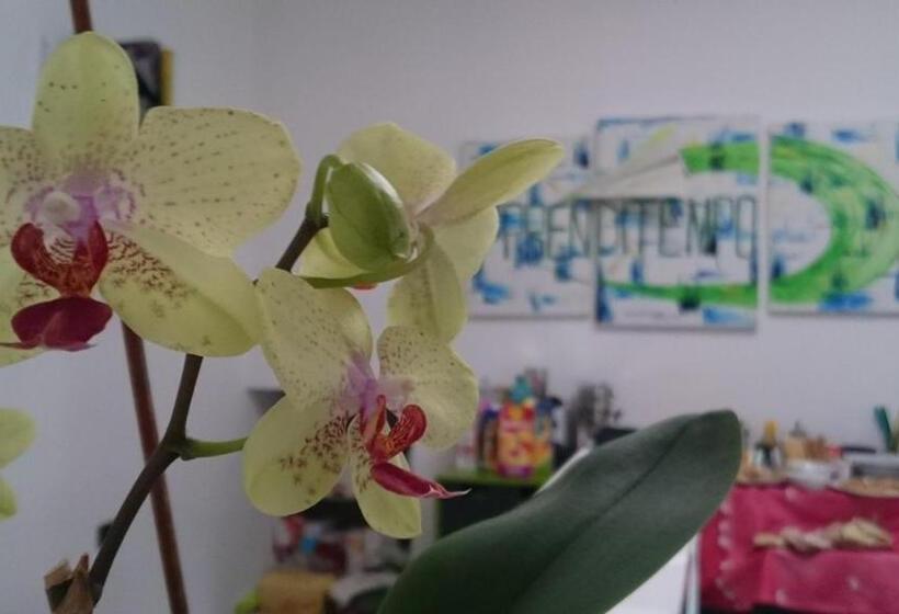 تختخواب و صبحانه Prenditempo