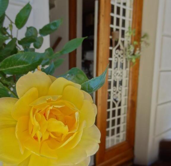 تختخواب و صبحانه Prenditempo