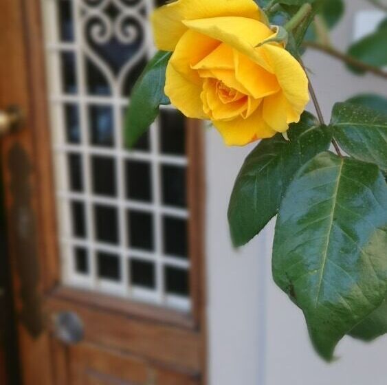 تختخواب و صبحانه Prenditempo