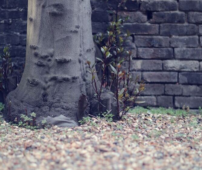 Camden Road Apartments