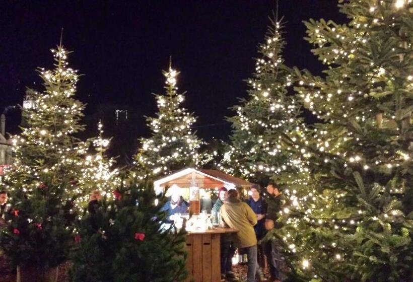 Classic Hotel Meranerhof