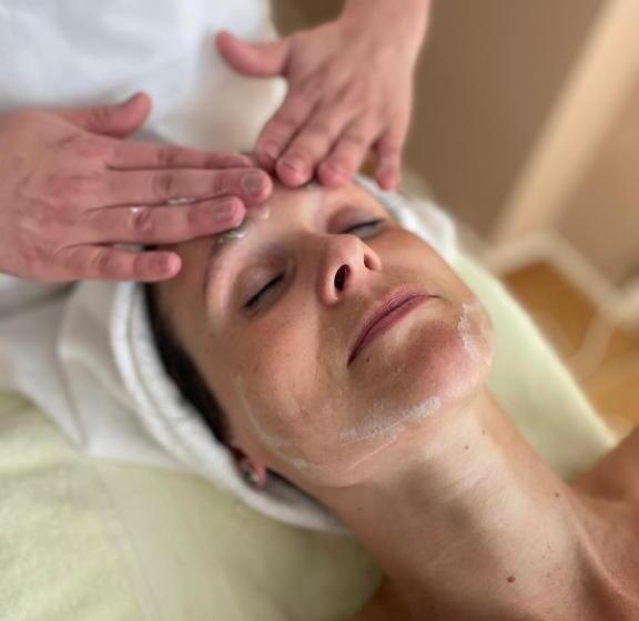 Classic Hotel Meranerhof