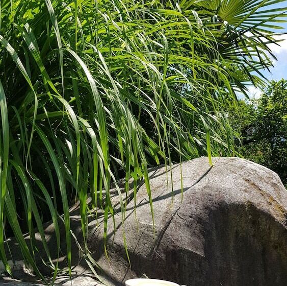 Gartenresidence Zea Curtis