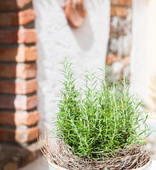 Hirsch1783 Hotel Landhaus