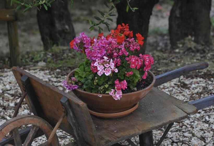 Отель Agriturismo Al Crepuscolo