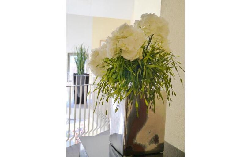 Отель Am Stadtgarten