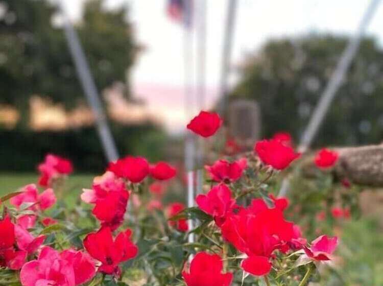 酒店 Ca Rocca Relais