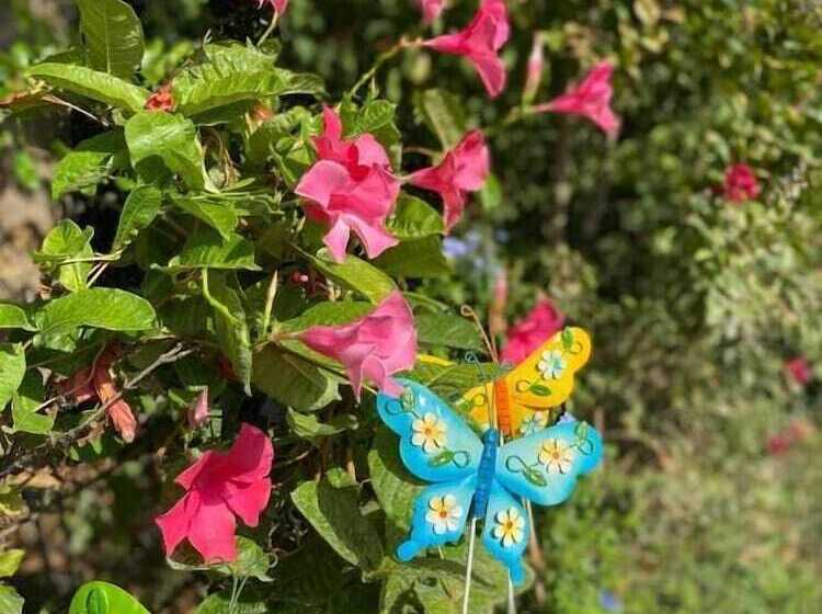 酒店 Ca Rocca Relais