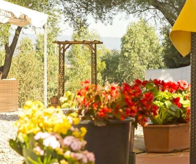 فندق Villa Cedrino