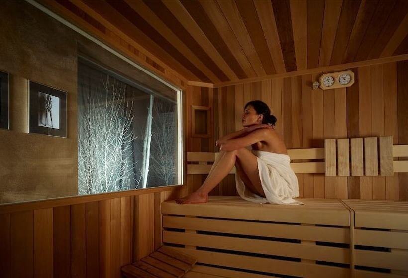 Dv Chalet Boutique Hotel & Spa