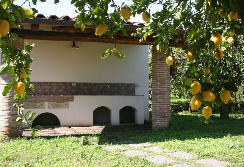 ホテル Agriturismo Galea