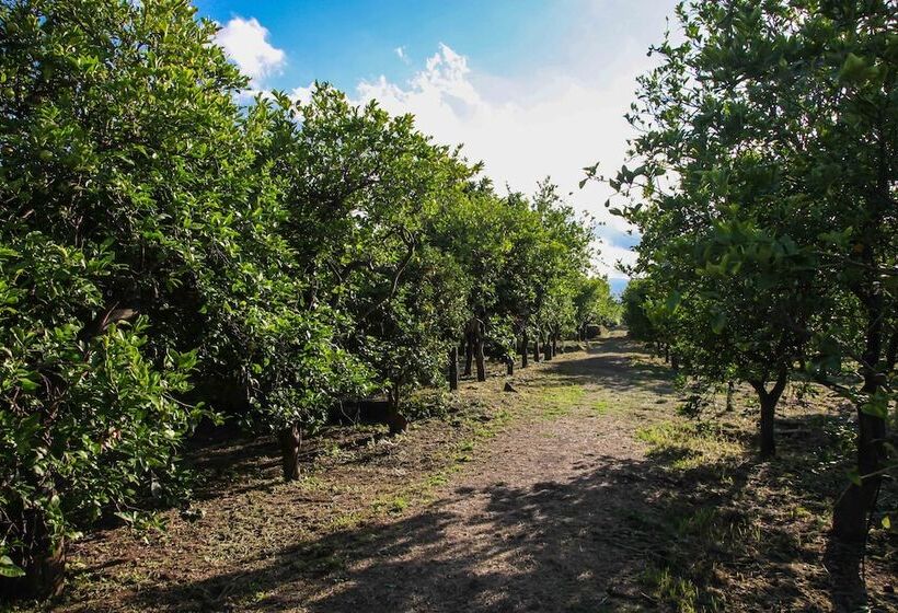 ホテル Agriturismo Galea