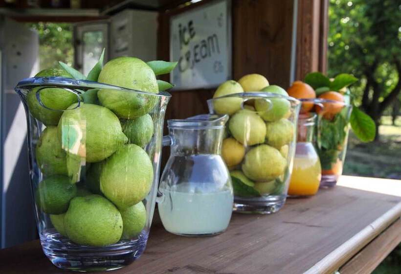 ホテル Agriturismo Galea