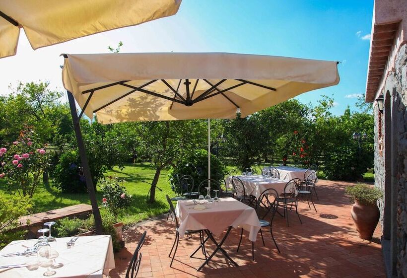 ホテル Agriturismo Galea
