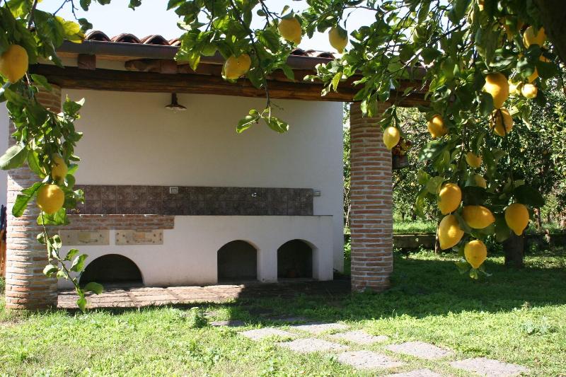 ホテル Agriturismo Galea