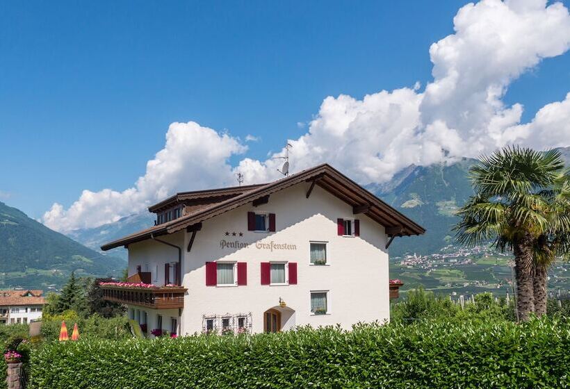 酒店 Guesthouse Pension Grafenstein