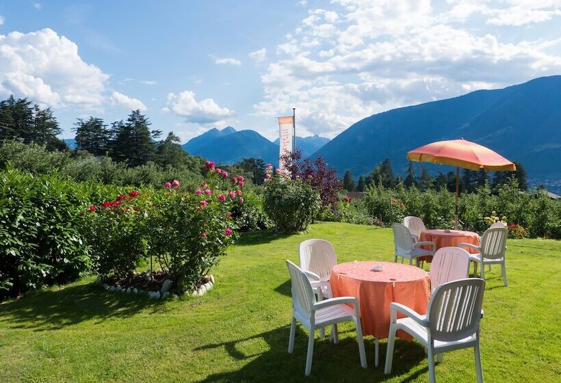 酒店 Guesthouse Pension Grafenstein