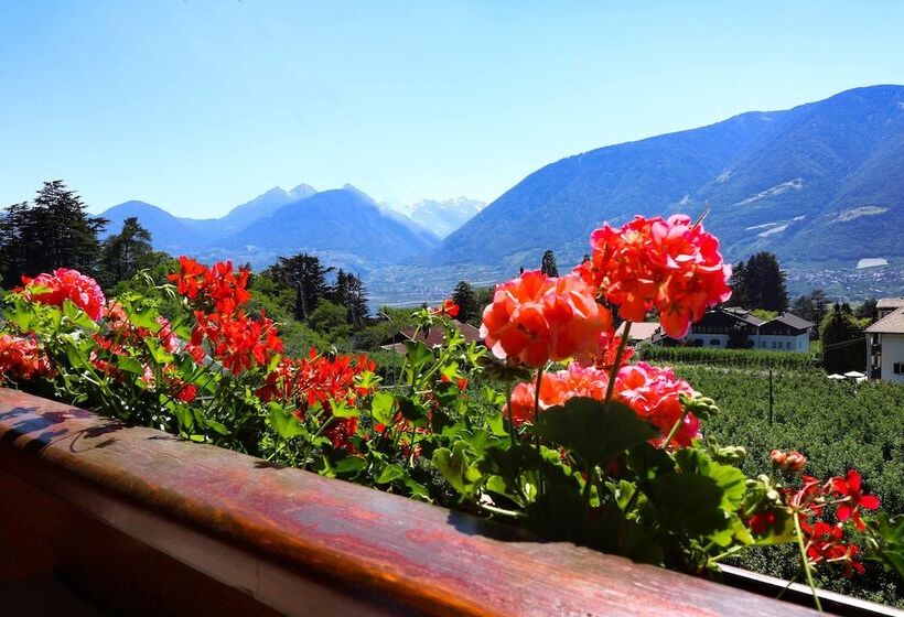 酒店 Guesthouse Pension Grafenstein