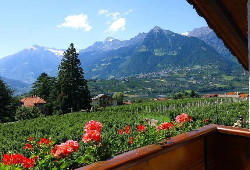 酒店 Guesthouse Pension Grafenstein