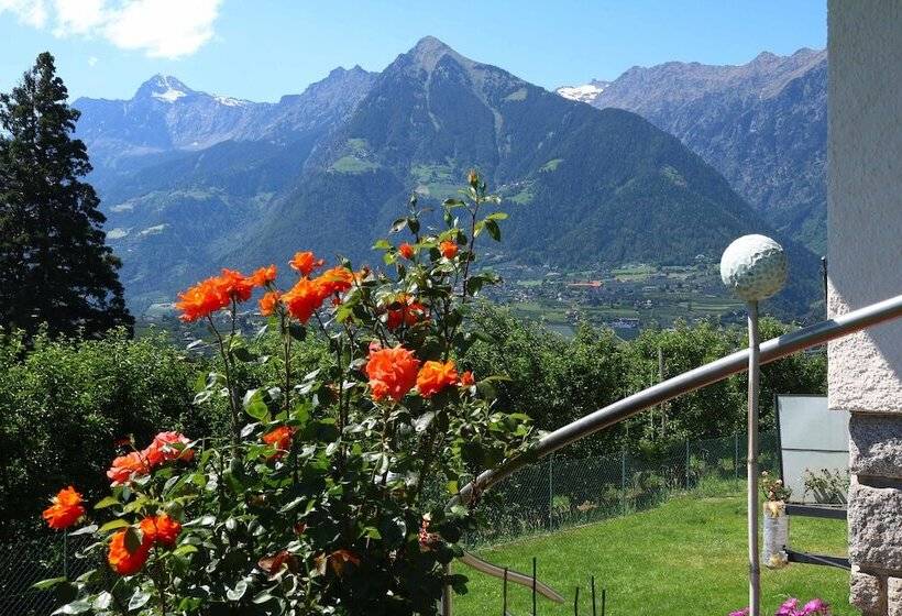 酒店 Guesthouse Pension Grafenstein