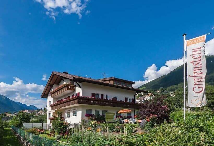 酒店 Guesthouse Pension Grafenstein