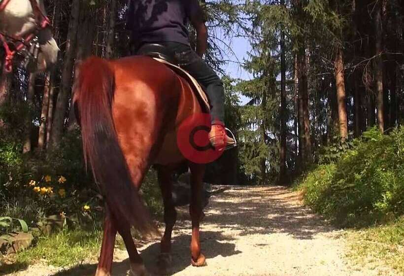 בית מלון כפרי La Fonte Del Cerro