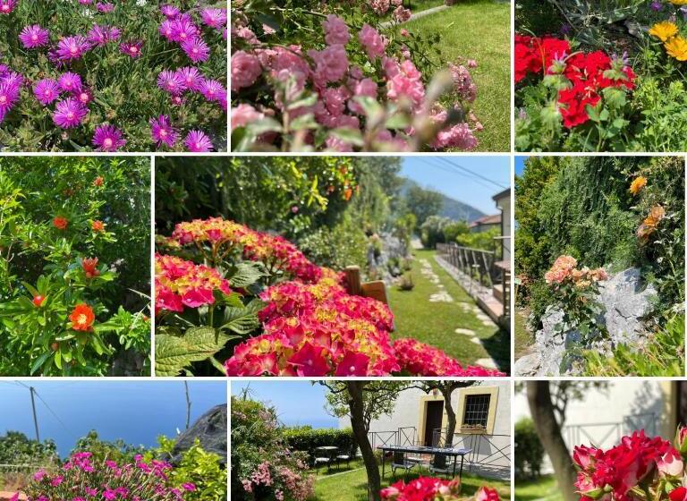 فندق L'eco Dell'800