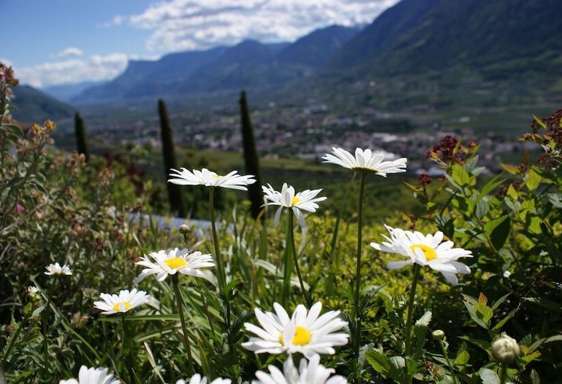 فندق Marini S Giardino