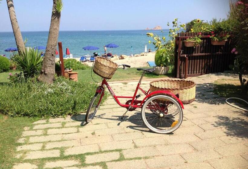 فندق Mediterraneo