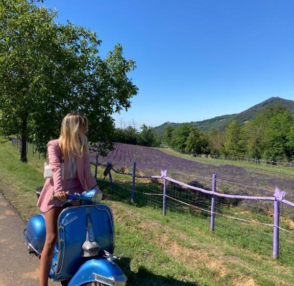 酒店 Milano Pool & Garden