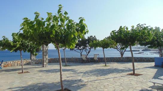 Отель Paraktio Beach