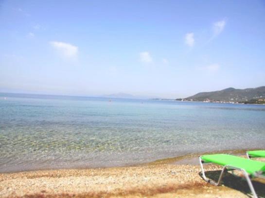 Отель Platanofylla