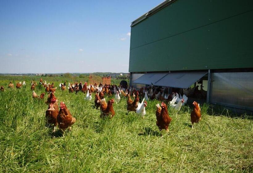 Отель Regenbogenhof Rudelswalde