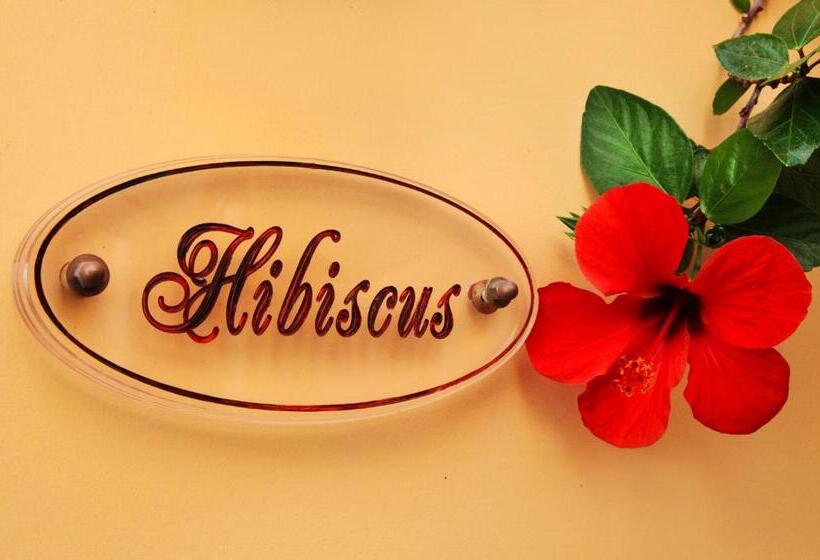 호텔 Rodos Niohori Elite Suites Boutique