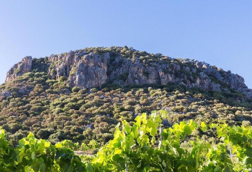 فندق Sa Tanca E Bore