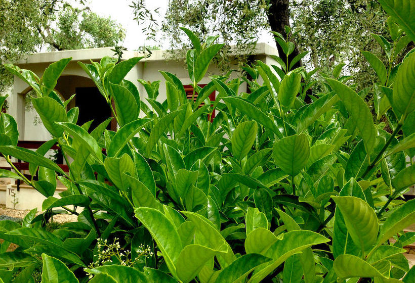 호텔 Villaggio San Matteo Resort