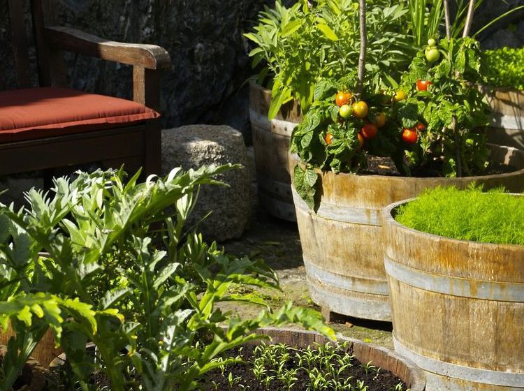 호텔 Schloss Sonnenburg