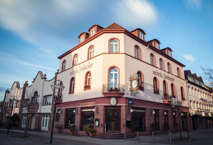 בית מלון כפרי Specht